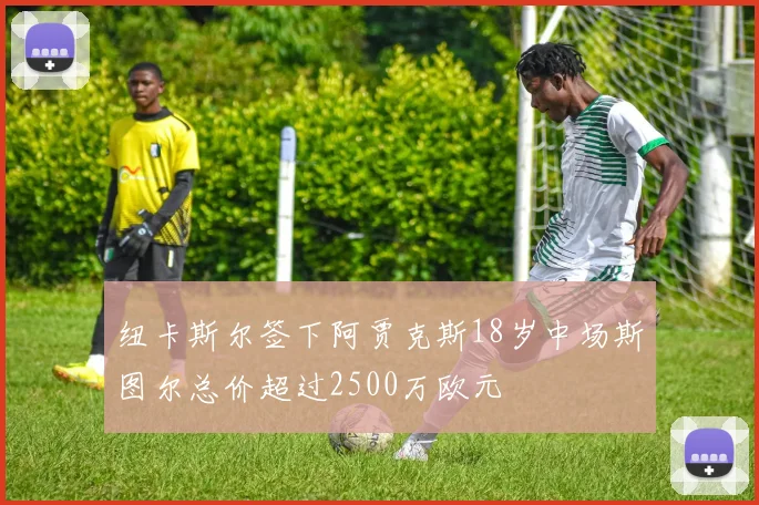 纽卡斯尔签下阿贾克斯18岁中场斯图尔总价超过2500万欧元