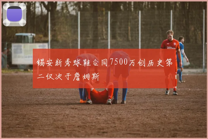 锡安新秀球鞋合同7500万创历史第二仅次于詹姆斯