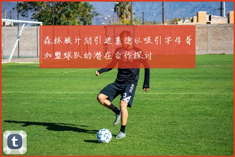 森林狼计划引进基德以吸引字母哥加盟球队的潜在合作探讨